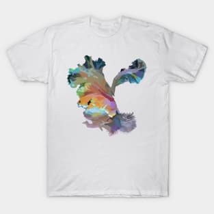 abstract rainbow color T-Shirt